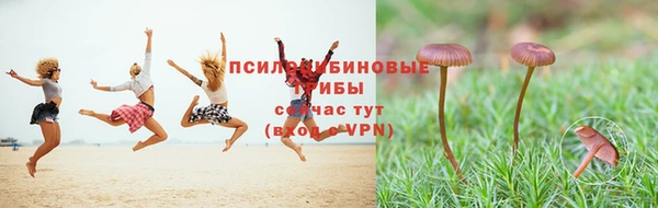 экстази Алексин