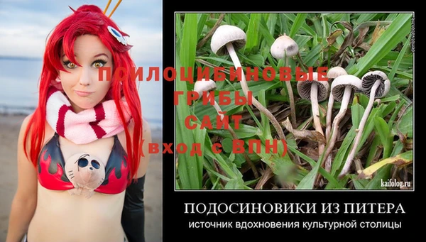 MESCALINE Аркадак
