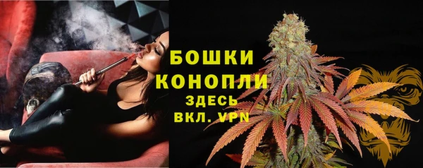 MESCALINE Аркадак