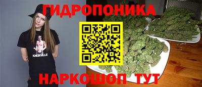 соль ск Славгород