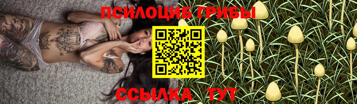 Белорецк  Галлюциногенные грибы прущие грибы  Вход с VPN  Галлюциногенные грибы Magic Shrooms 